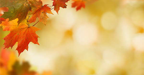 4 Reasons to Sell This Fall [INFOGRAPHIC] | Simplifying The Market